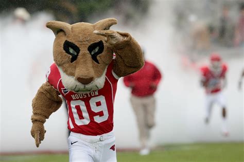 Wildcat college mascot